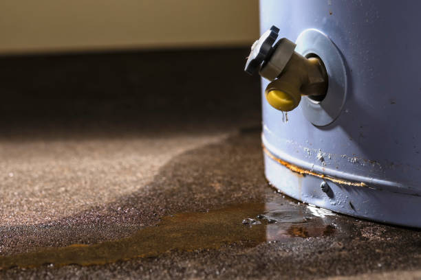  Presque Isle, ME Water damage restoration Pros