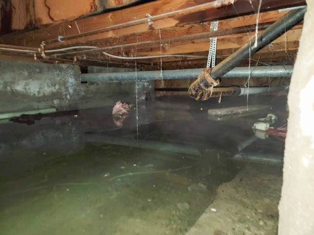 Best Residential water damage restoration  in Presque Isle, ME