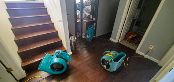 Best Fire Damage Restoration  in Presque Isle, ME