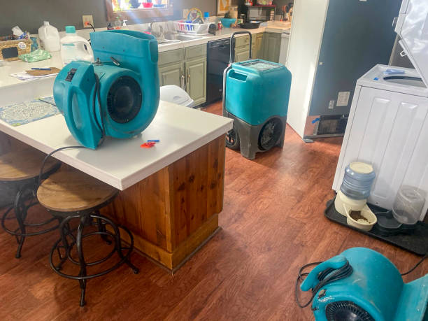 Water damage restoration experts in Presque Isle, ME