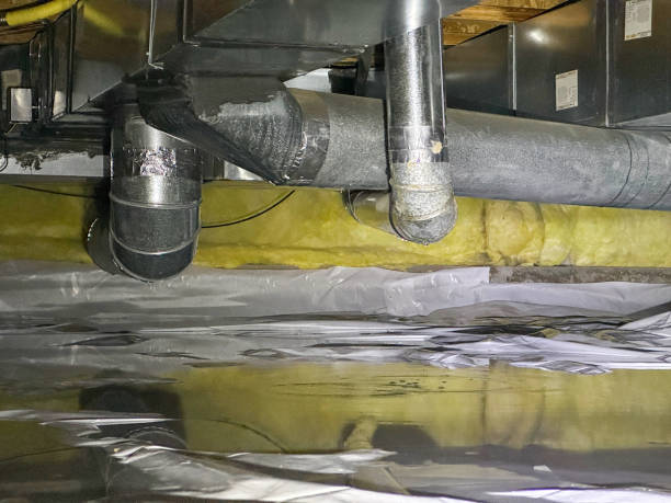 Best Basement water damage restoration  in Presque Isle, ME