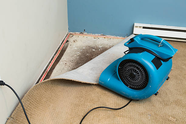 Best Water damage restoration near me  in Presque Isle, ME